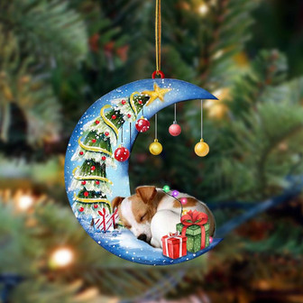 Jack Russell Terrier-Sleep On The Moon Christmas Two Sided Ornament, Christmas Ornament, Car Ornament - Thegiftio UK