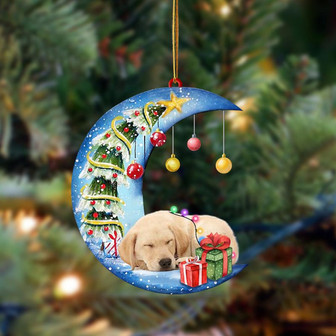 Labrador Retriever 1-Sleep On The Moon Christmas Two Sided Ornament, Christmas Ornament, Car Ornament - Thegiftio UK