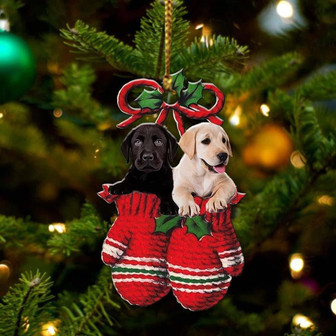 Labrador Retriever Inside Your Gloves Christmas Holiday-Two Sided Ornament, Christmas Ornament, Car Ornament - Thegiftio UK