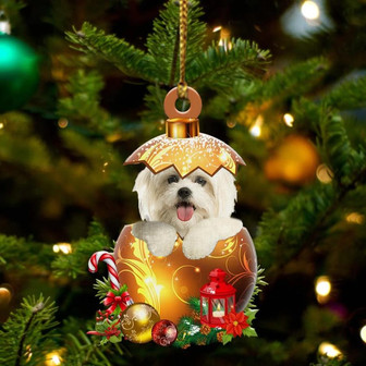 Maltese In Golden Egg Christmas Ornament - Thegiftio UK