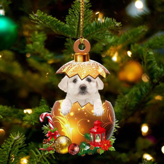 Maltese2 In Golden Egg Christmas Ornament - Thegiftio UK