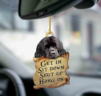 Newfoundland dog get in newfoundland dog lover dog moms two sided ornament - Thegiftio UK