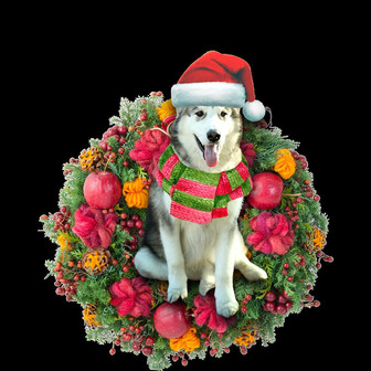 Ornament- Alaskan Malamute Christmas Ornament, Happy Christmas Ornament, Car Ornament - Thegiftio UK