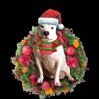 Ornament- American Bulldog Christmas Ornament, Happy Christmas Ornament, Car Ornament - Thegiftio UK