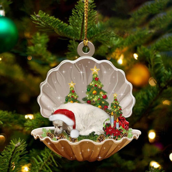 Ornament- American Eskimo-Sleeping Pearl in Christmas Two Sided Ornament, Christmas Ornament, Car Ornament - Thegiftio UK