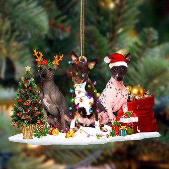 Ornament- American Hairless Terrier-Christmas Dog Friends Hanging Ornament, Christmas Ornament, Car Ornament - Thegiftio UK