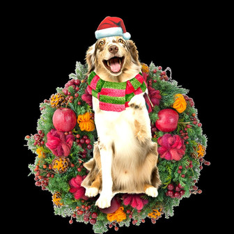 Ornament- Australian Shepherd Christmas Ornament, Happy Christmas Ornament, Car Ornament - Thegiftio UK