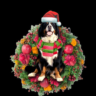 Ornament- Bernese Mountain Christmas Ornament, Happy Christmas Ornament, Car Ornament - Thegiftio UK