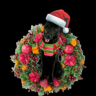 Ornament- Black German Shepherd Christmas Ornament, Happy Christmas Ornament, Car Ornament - Thegiftio UK