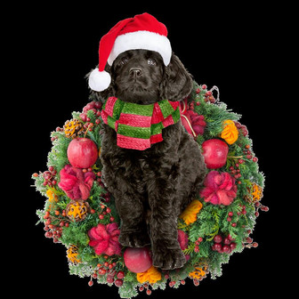 Ornament- Black Labradoodle Christmas Ornament, Happy Christmas Ornament, Car Ornament - Thegiftio UK
