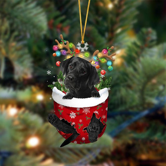 Ornament- BLACK Labrador-In Christmas Pocket Two Sides Ornament, Happy Christmas Ornament, Car Ornament - Thegiftio UK