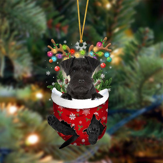 Ornament- BLACK Miniature Schnauzer-In Christmas Pocket Two Sides Ornament, Christmas Ornament, Car Ornament - Thegiftio UK