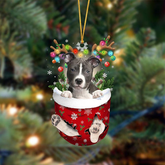 Ornament- BLUE Nose Pitbull-In Christmas Pocket Two Sides Ornament, Happy Christmas Ornament, Car Ornament - Thegiftio UK
