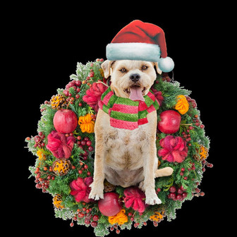 Ornament- Border Terrier Christmas Ornament, Happy Christmas Ornament, Car Ornament - Thegiftio UK