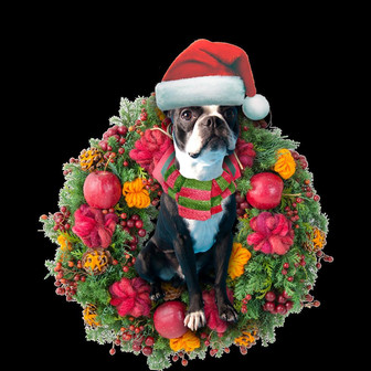 Ornament- Boston Terrier Christmas Ornament, Happy Christmas Ornament, Car Ornament - Thegiftio UK