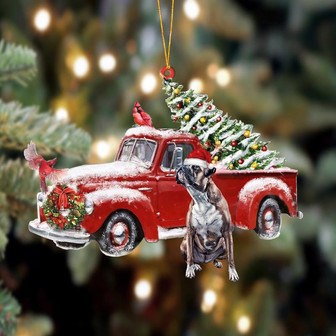 Ornament- Boxer 1-Cardinal & Truck Two Sided Ornament, Happy Christmas Ornament, Car Ornament - Thegiftio UK