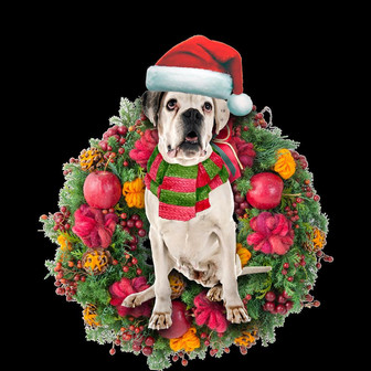 Ornament- Boxer Dog Christmas Ornament, Happy Christmas Ornament, Car Ornament - Thegiftio UK