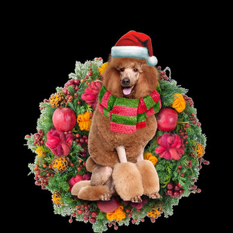 Ornament- Brown Poodle Christmas Ornament, Happy Christmas Ornament, Car Ornament - Thegiftio UK