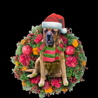Ornament- Bull Mastiff Christmas Ornament, Happy Christmas Ornament, Car Ornament - Thegiftio UK