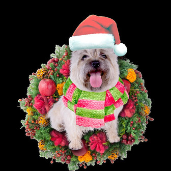 Ornament- Cairn Terrier Christmas Ornament, Happy Christmas Ornament, Car Ornament - Thegiftio UK
