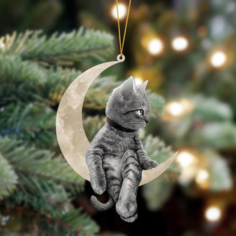 Ornament- Cat Sits On The Moon Hanging Ornament Dog Ornament, Car Ornament, Christmas Ornament - Thegiftio UK
