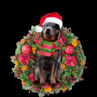 Ornament- Cattle Dog Christmas Ornament, Happy Christmas Ornament, Car Ornament - Thegiftio UK