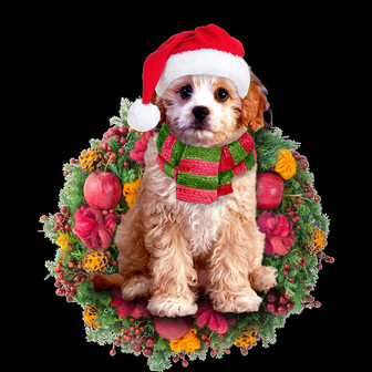 Ornament- Cavoodle Christmas Ornament, Happy Christmas Ornament, Car Ornament - Thegiftio UK