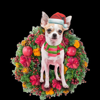 Ornament- Chihuahua Christmas Ornament, Happy Christmas Ornament, Car Ornament - Thegiftio UK