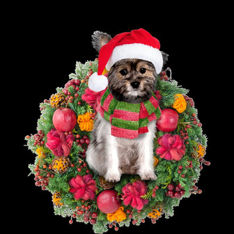 Ornament- Chorkie Christmas Ornament, Happy Christmas Ornament, Car Ornament - Thegiftio UK