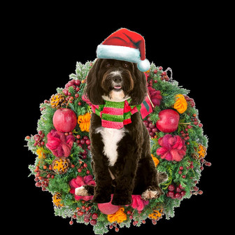 Ornament- Cockapoo Christmas Ornament, Happy Christmas Ornament, Car Ornament - Thegiftio UK