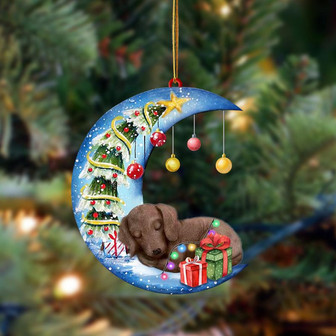 Ornament- Dachshund-Sleep On The Moon Christmas Two Sided Ornament, Happy Christmas Ornament, Car Ornament - Thegiftio UK
