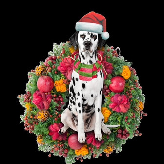 Ornament- Dalmatian Christmas Ornament, Happy Christmas Ornament, Car Ornament - Thegiftio UK