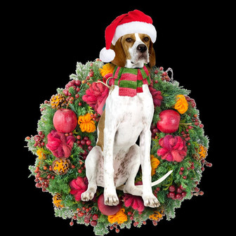 Ornament- English Pointer Christmas Ornament, Happy Christmas Ornament, Car Ornament - Thegiftio UK