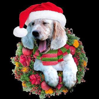 Ornament- English Setter Christmas Ornament, Happy Christmas Ornament, Car Ornament - Thegiftio UK