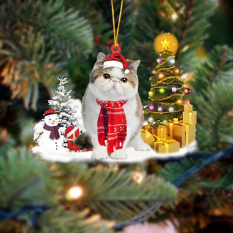 Ornament- Exotic Shorthair Cat Christmas Ornament Dog Ornament, Car Ornament, Christmas Ornament - Thegiftio UK