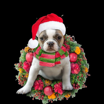 Ornament- French Bulldog Christmas Ornament, Happy Christmas Ornament, Car Ornament - Thegiftio UK