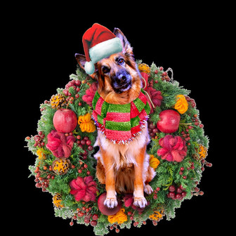 Ornament- German Shepherd Christmas Ornament, Happy Christmas Ornament, Car Ornament - Thegiftio UK