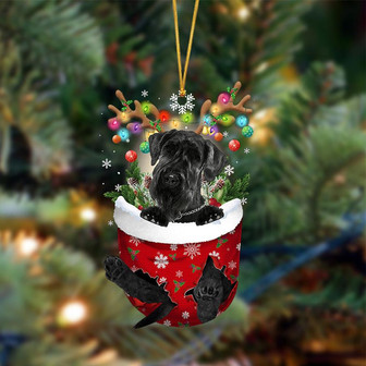 Ornament- Giant Schnauzer-In Christmas Pocket Two Sides Ornament, Happy Christmas Ornament, Car Ornament - Thegiftio UK