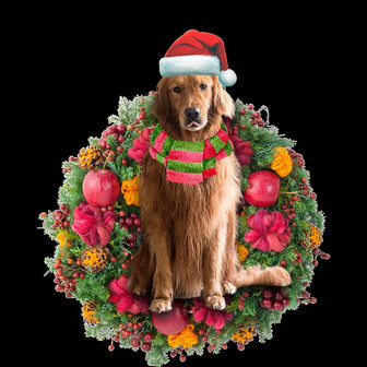 Ornament- Golden Retriever Christmas Ornament, Happy Christmas Ornament, Car Ornament - Thegiftio UK