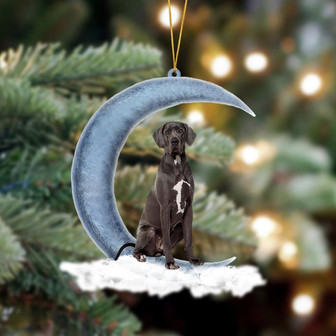 Ornament- Great Dane 02 Sits On The Moon Hanging Ornament Dog Ornament, Car Ornament, Christmas Ornament - Thegiftio UK
