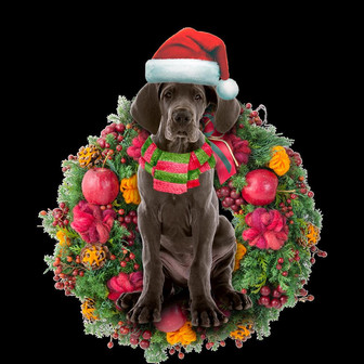 Ornament- Great Dane Christmas Ornament, Happy Christmas Ornament, Car Ornament - Thegiftio UK