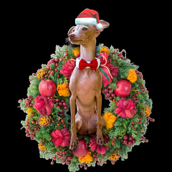 Ornament- Greyhound Christmas Ornament, Happy Christmas Ornament, Car Ornament - Thegiftio UK