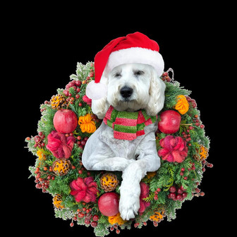 Ornament- Groodle Christmas Ornament, Happy Christmas Ornament, Car Ornament - Thegiftio UK