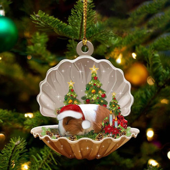 Ornament- Guinea Pig3-Sleeping Pearl in Christmas Two Sided Ornament, Happy Christmas Ornament, Car Ornament - Thegiftio UK