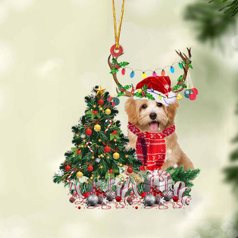 Ornament- Havanese 3-Christmas Tree Gift Hanging Ornament, Happy Christmas Ornament, Car Ornament - Thegiftio UK