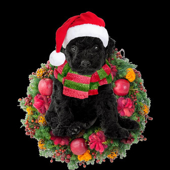 Ornament- Hungarian Puli Christmas Ornament, Happy Christmas Ornament, Car Ornament - Thegiftio UK