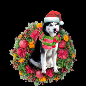 Ornament- Husky Christmas Ornament, Happy Christmas Ornament, Car Ornament - Thegiftio UK