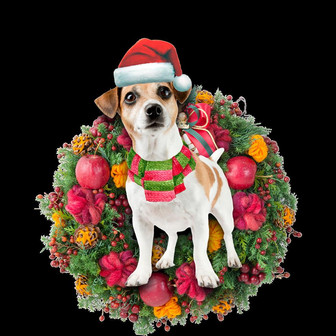 Ornament- Jack Russell Terrier Christmas Ornament, Happy Christmas Ornament, Car Ornament - Thegiftio UK