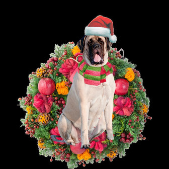 Ornament- Mastiff Christmas Ornament, Happy Christmas Ornament, Car Ornament - Thegiftio UK