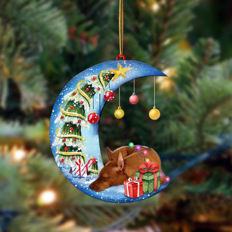 Ornament- Miniature Pinscher-Sleep On The Moon Christmas Two Sided Ornament, Christmas Ornament, Car Ornament - Thegiftio UK